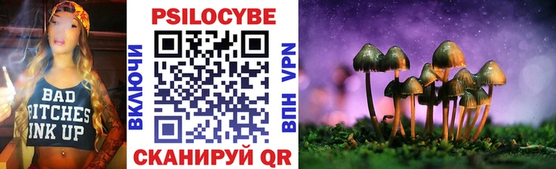 Псилоцибиновые грибы MAGIC MUSHROOMS  как найти закладки  Дудинка 